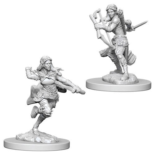 Dungeons & Dragons: Nolzur's Marvelous Unpainted Miniatures - W04 Air Genasi Female Rogue