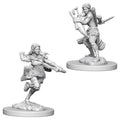 Dungeons & Dragons: Nolzur's Marvelous Unpainted Miniatures - W04 Air Genasi Female Rogue