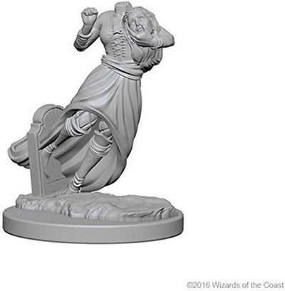 Dungeons & Dragons: Nolzur's Marvelous Unpainted Miniatures - W01 Ghosts