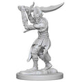 Dungeons & Dragons: Nolzur's Marvelous Unpainted Miniatures - W04 Githyanki