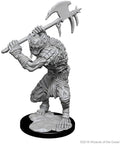 Dungeons & Dragons: Nolzur's Marvelous Unpainted Miniatures - W01 Gnolls