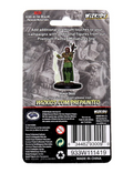 Dungeons & Dragons: Icons of the Realms Premium Figures W02 Human Female Druid