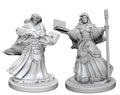 Dungeons & Dragons: Nolzur's Marvelous Unpainted Miniatures - W01 Human Female Wizard