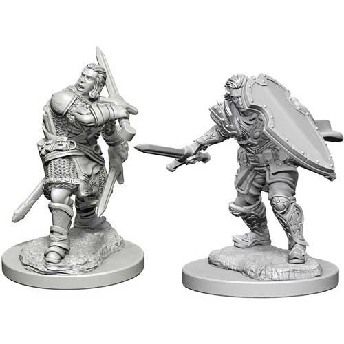 Dungeons & Dragons Nolzur's Marvelous Unpainted Miniatures: W3 Human Male Paladin