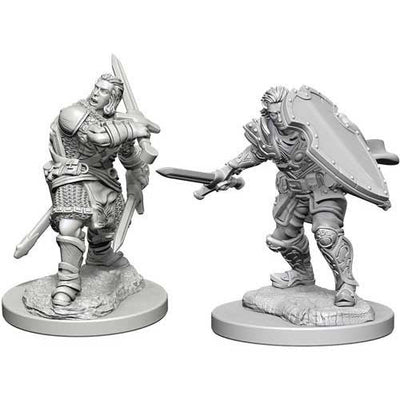 Dungeons & Dragons Nolzur's Marvelous Unpainted Miniatures: W3 Human Male Paladin