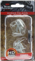 Dungeons & Dragons Nolzur's Marvelous Unpainted Miniatures: W3 Human Male Paladin