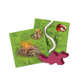 Carcassonne Expansion 3: The Princess and the Dragon