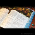 Dungeons & Dragons: Book Tabs - 2024 Monster Manual