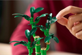 LEGO Lucky Bamboo (10344)