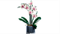 LEGO Orchid (10311)
