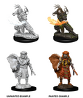 Dungeons & Dragons: Nolzur's Marvelous Unpainted Miniatures - W06 Male Human Druid