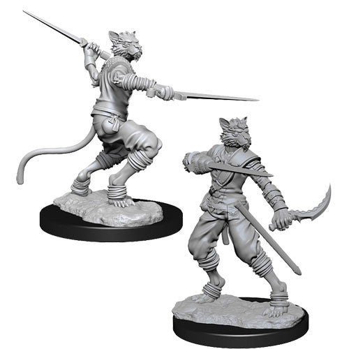 Dungeons & Dragons: Nolzur's Marvelous Unpainted Miniatures - W07 Tabaxi Male Rogue