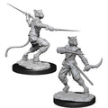 Dungeons & Dragons: Nolzur's Marvelous Unpainted Miniatures - W07 Tabaxi Male Rogue