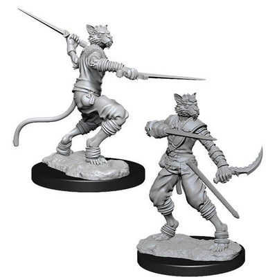 Dungeons & Dragons: Nolzur's Marvelous Unpainted Miniatures - W07 Tabaxi Male Rogue