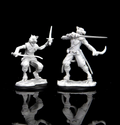 Dungeons & Dragons: Nolzur's Marvelous Unpainted Miniatures - W07 Tabaxi Male Rogue