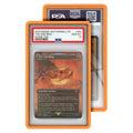 Standard Graded Guards (PSA)