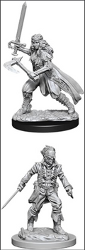 Dungeons & Dragons: Nolzur's Marvelous Unpainted Miniatures - W08 Vampire Hunters