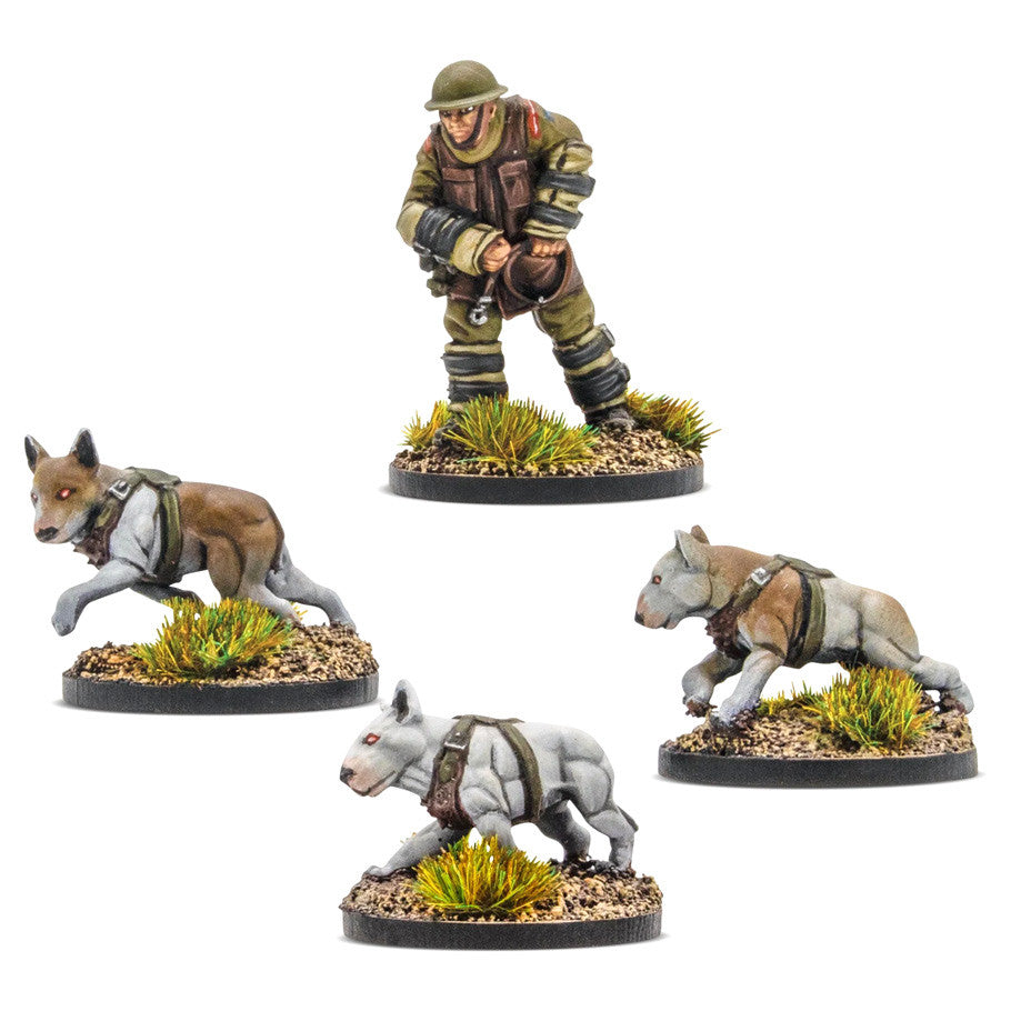 Cerberus Squad