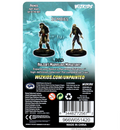 Dungeons & Dragons: Nolzur's Marvelous Unpainted Miniatures: Zombies