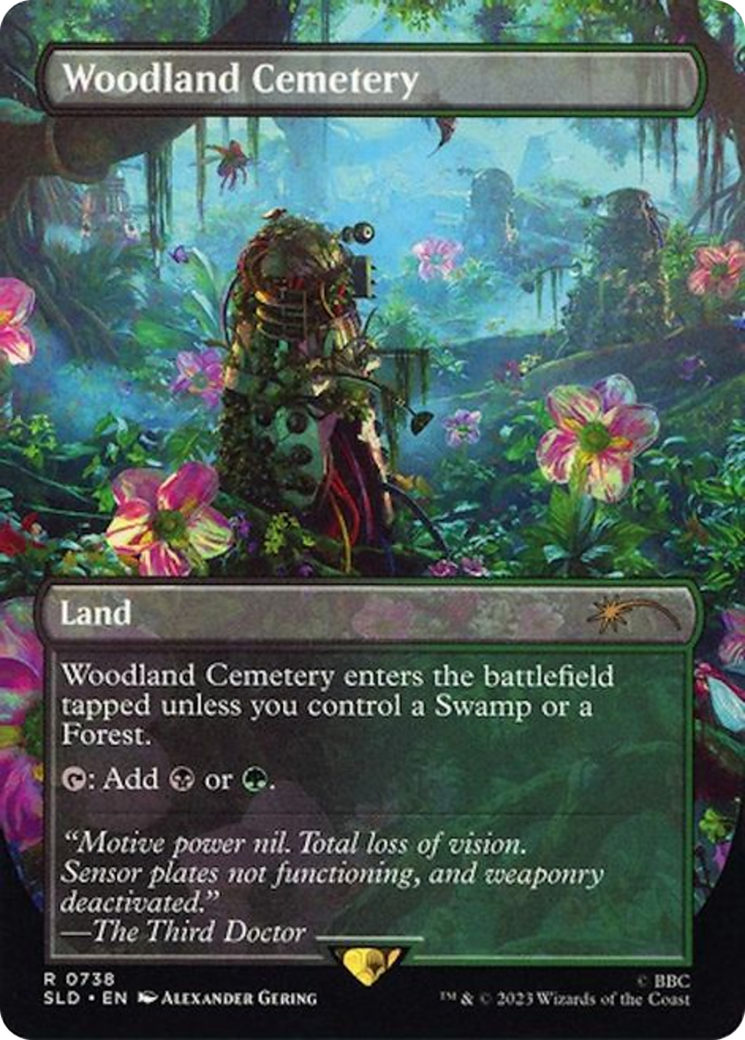 Woodland Cemetery (SLD-738) - Secret Lair Drop: (borderless) (Borderless) Foil