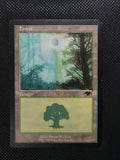 Forest — ID 17637