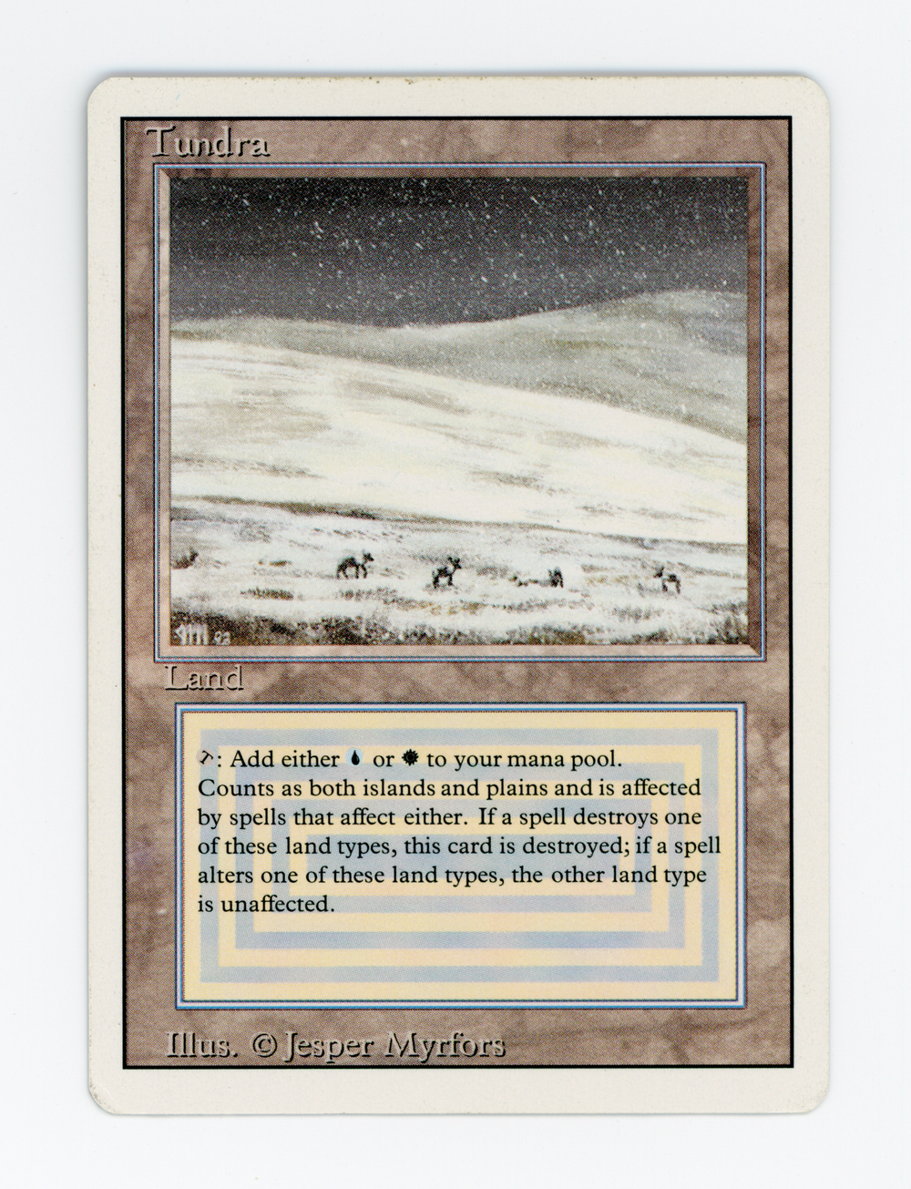 Tundra — ID 16784