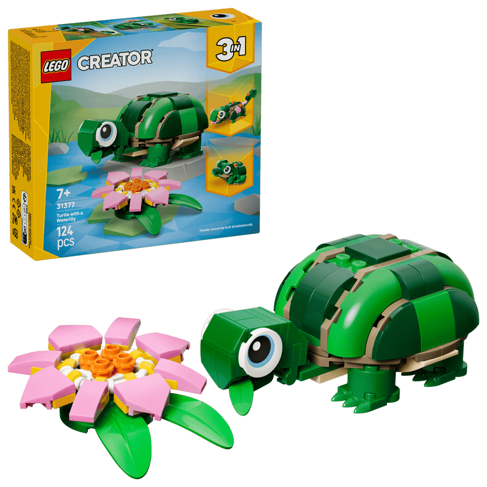 Turtle with a Water Lily Flowe