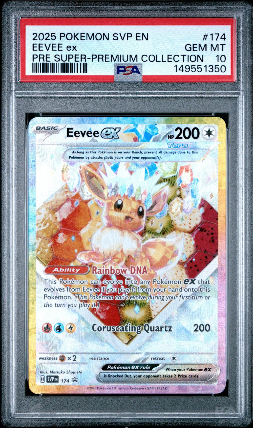 2025 POKEMON SVP EN-SV BLACK STAR PROMO #174 EEVEE ex PRE SUPER-PREMIUM COLLECTION PSA 10