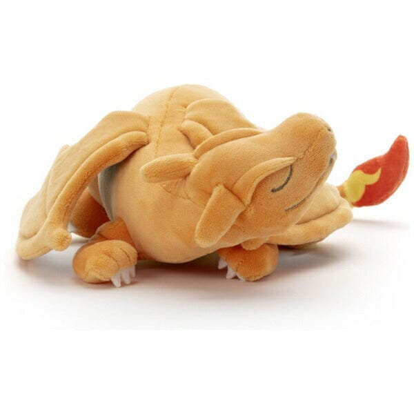 Suyasuya Friends Charizard