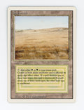 Savannah — ID 17389