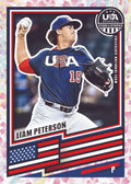 2026 Panini USA Stars & Stripes Prizm Baseball Hobby Box