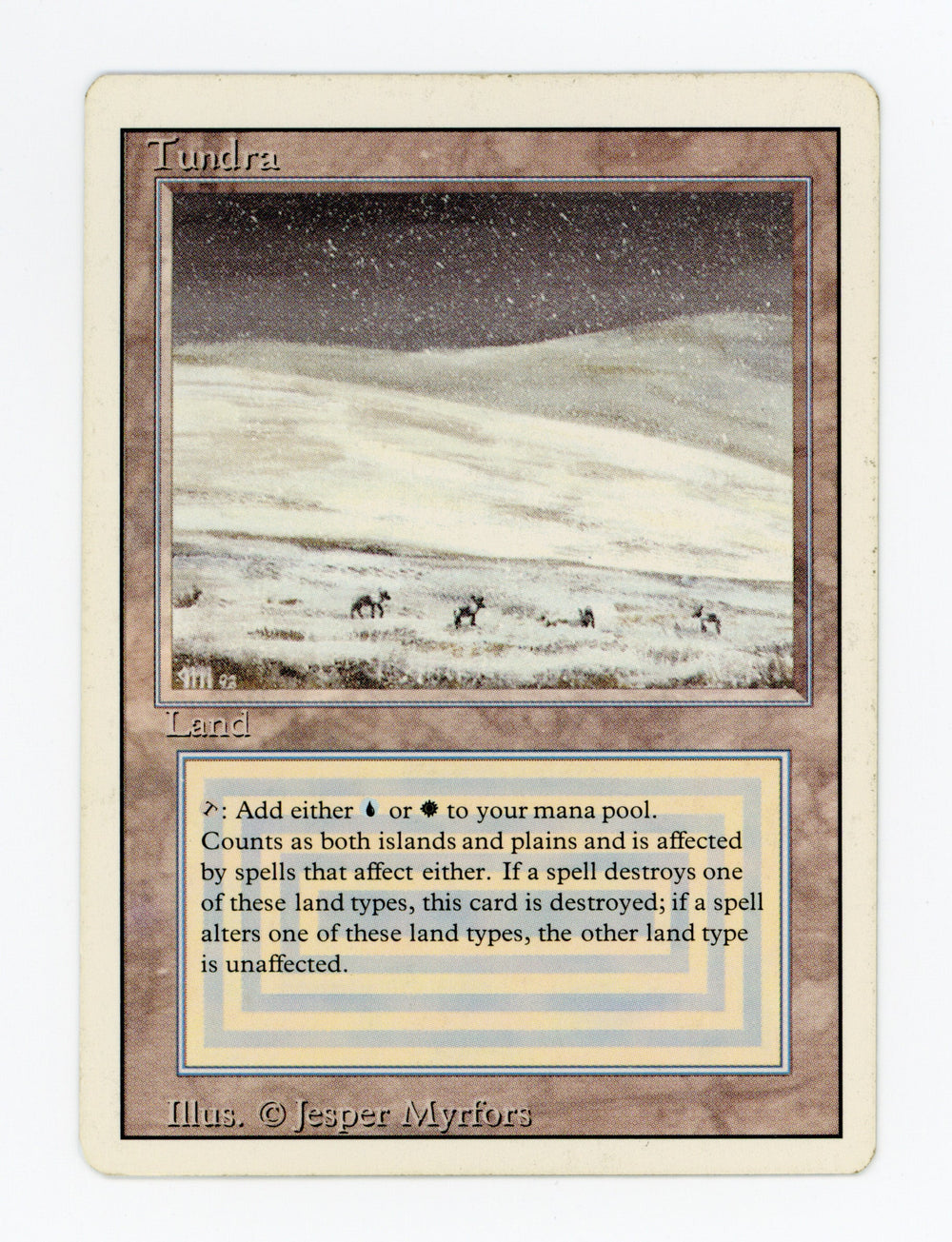 Tundra — ID 17097