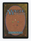 Llanowar Elves — Japan Showcase|Fracture Foil — ID 17506