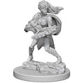 Dungeons & Dragons: Nolzur's Marvelous Unpainted Miniatures - W04 Drow