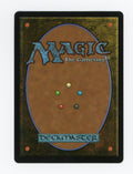Marsh Flats — Borderless|Dragonscale Foil — ID 17684