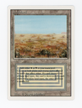 Scrubland — ID 16738