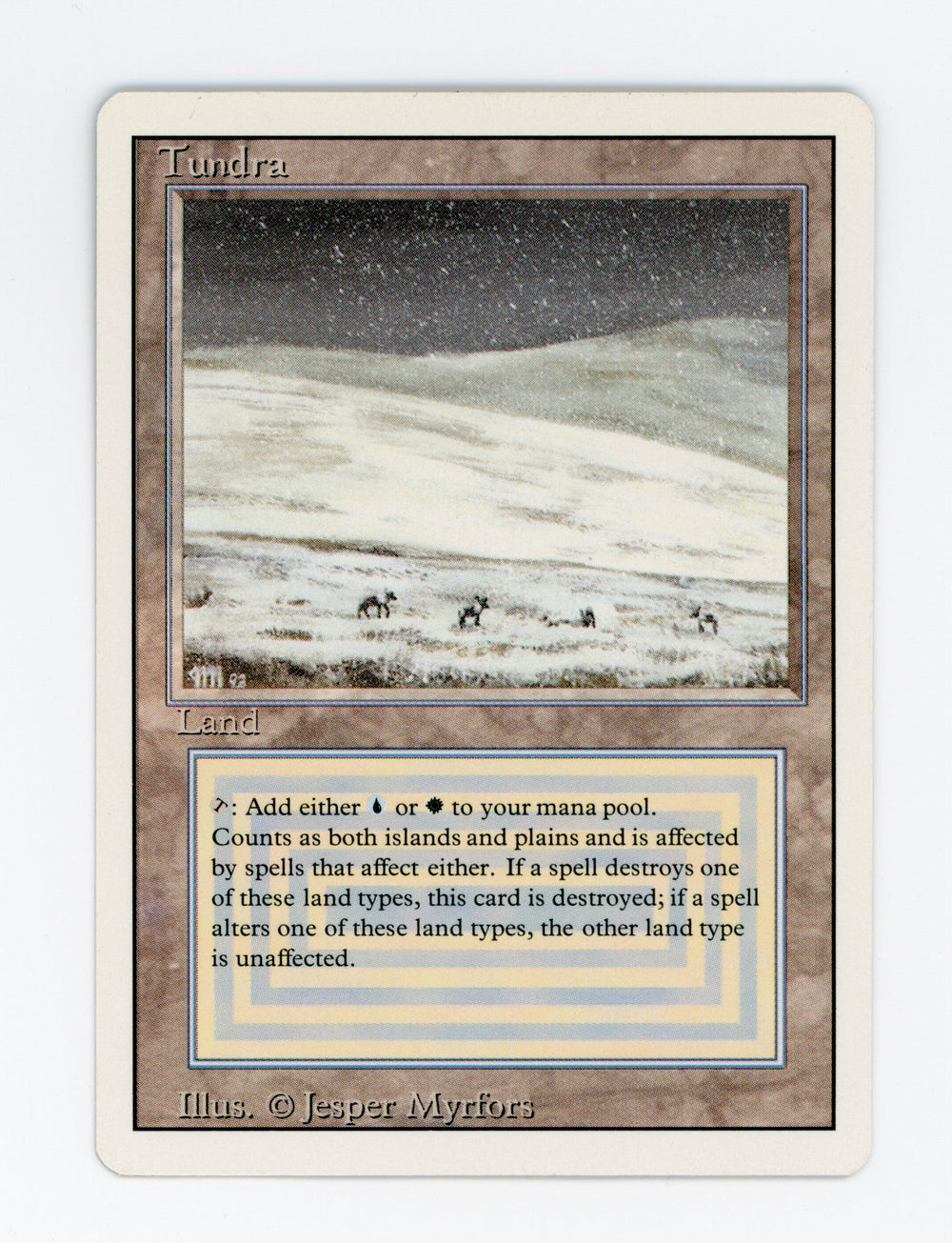 Tundra — ID 17707