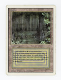 Bayou — ID 17578