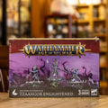Warhammer 40K/AoS - Tzaangor Enlightened