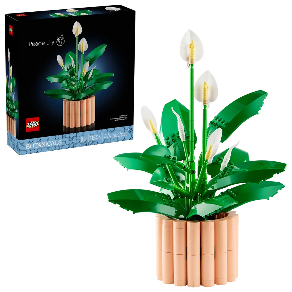 Peace Lily