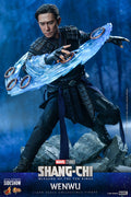 Hot Toys Wenwu Sixth Scale Figure