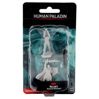 Nolzur's Marvelous Miniatures: Human Paladin Male