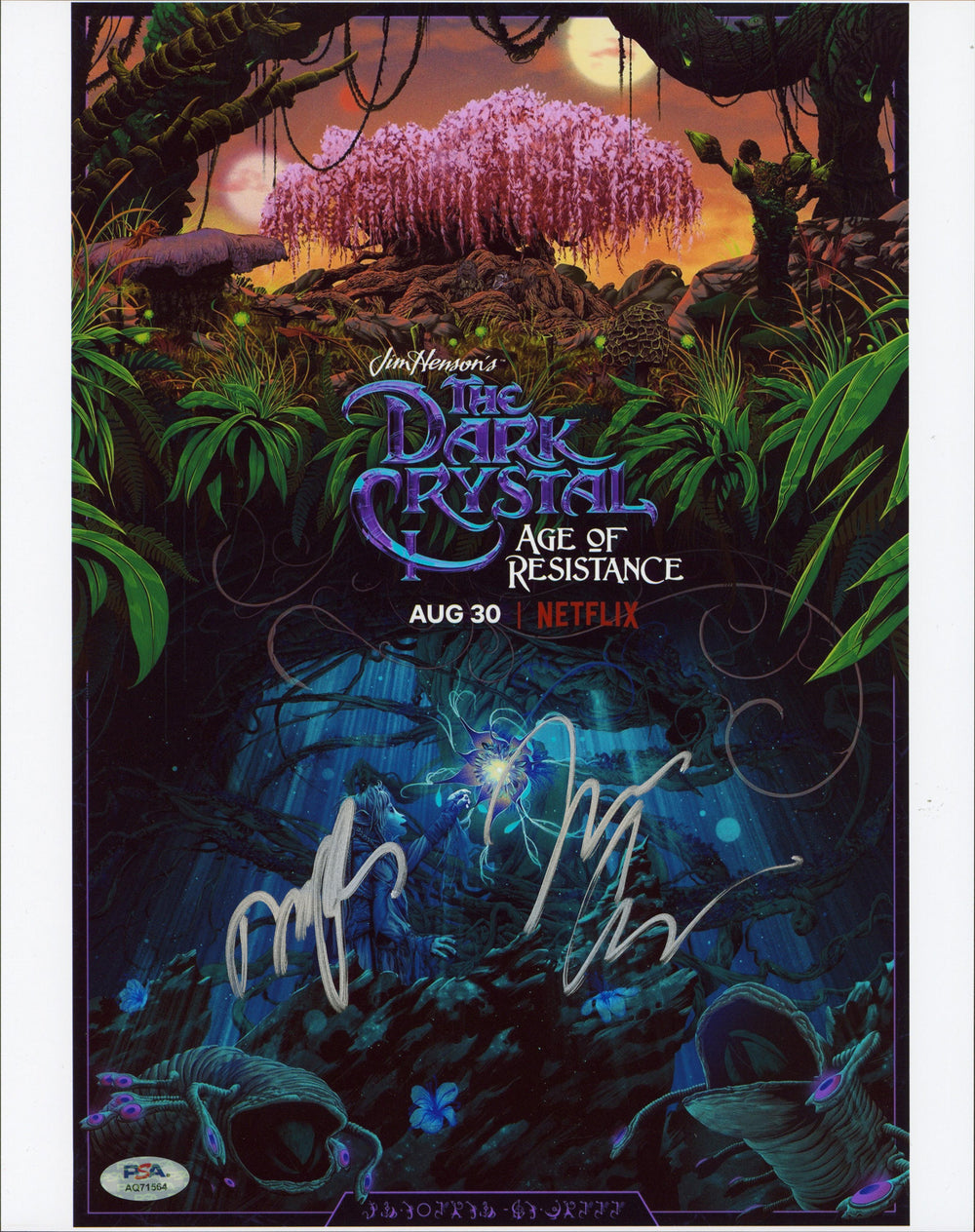 Jeffrey Addiss & Will Matthews The Dark Crystal Signed 11x14 Photo PSA #AQ71564