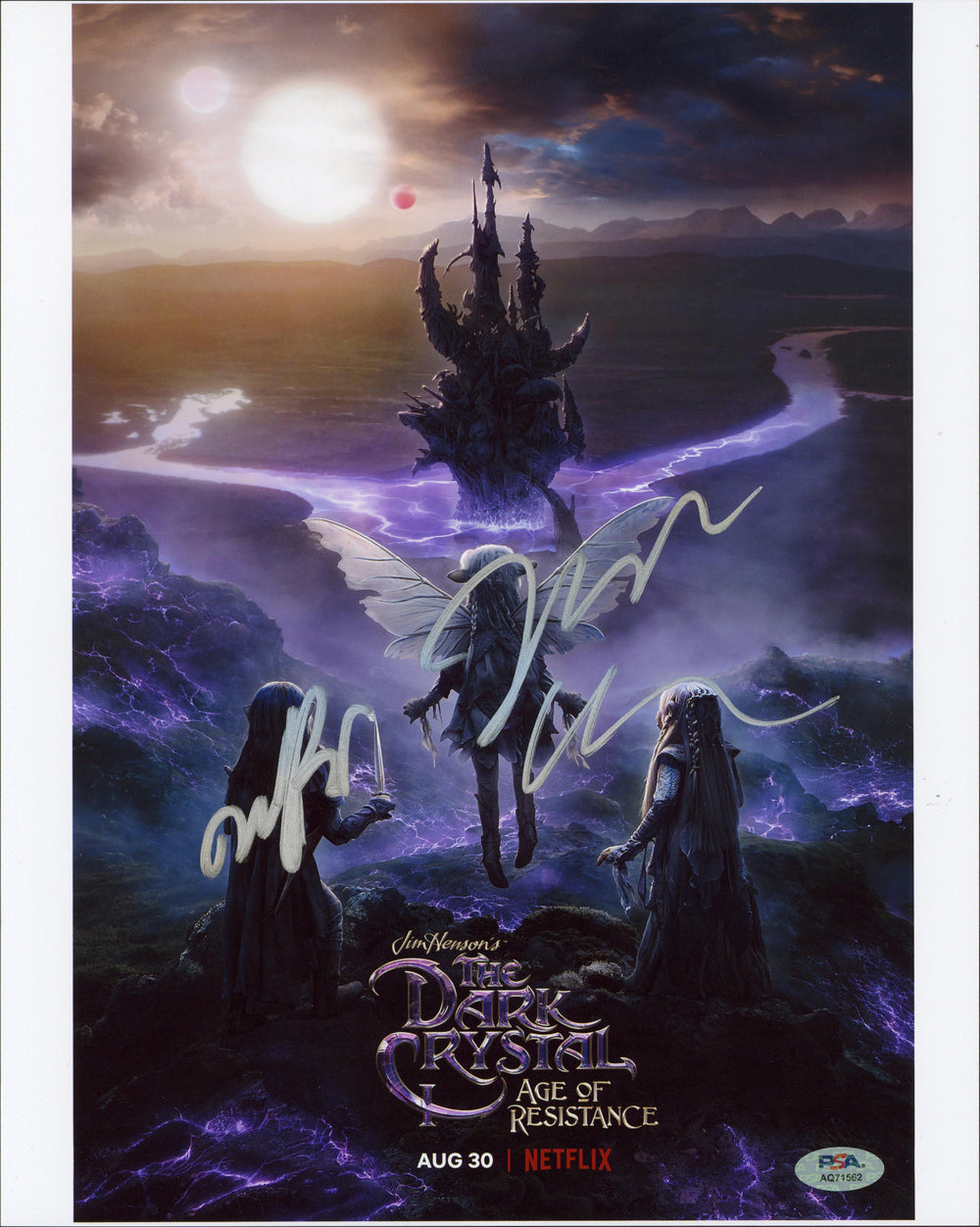 Jeffrey Addiss & Will Matthews The Dark Crystal Signed 11x14 Photo PSA #AQ71562