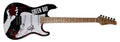 Billie Joe Armstrong Green Day Authentic Signed Electric Guitar JSA #AJ36388