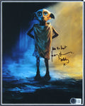Daniel Radcliffe & Toby Jones Harry Potter Signed 8x10 Photo Framed Display BAS