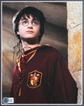 Daniel Radcliffe & Toby Jones Harry Potter Signed 8x10 Photo Framed Display BAS
