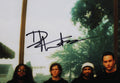 Dave Matthews Dave Matthews Band Signed & Framed 16x28 Poster JSA #ZZ66506