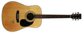 Eric Clapton Cream Authentic Signed Carlo Robelli Acoustic Guitar PSA #Y03953