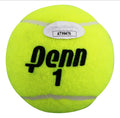 Andy Murray Authentic Signed Penn 1 Tennis Ball Autographed JSA #AT96476
